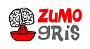 Logo Zumo Gris - Hugo Roman